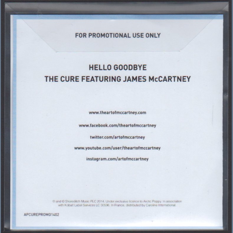 Hello Goodbye - Authentic 2014 UK Arctic Poppy label 1-track Promotional Issue CD Acetate