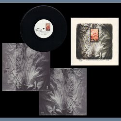 Come Here My Love b/w Drugs - 1986 UK 4AD label 2-track 10? Single