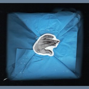 Engine Machine - 2002 Danish Privately Issued 11-track Deluxe Version CD 