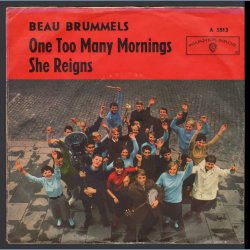 One Too Many Mornings b/w She Reigns - 1966 Germany Warner Bros label 2-track 7" Single