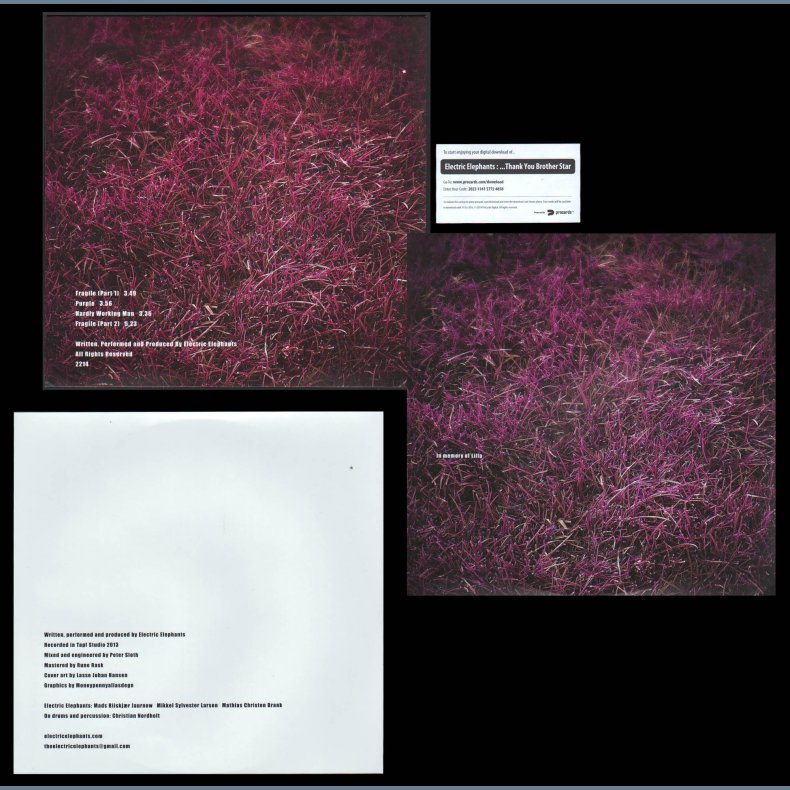 ... Thank You Brother Star - 2015 Danish Privately Pressed And Released 4-track 10"