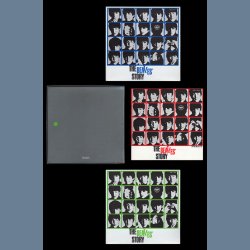 The Beatles' Story - 1976 Japanese Apple label 2nd Issue 17-track 2-LP box set  