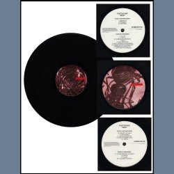 Sink - Original 1989 Self Immolation label 20-track 2LP 