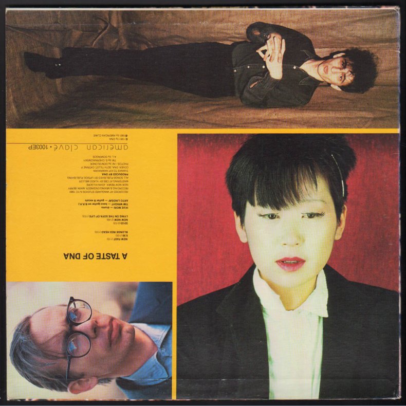 A Taste Of DNA - Original 1981 US  American Clav&eacute; label 6-track LP