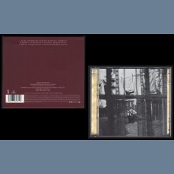 Chaos and Creation in The backyard - 2005 Limited Special Edition 2-disc CD/DVD Set - Non Copy Prote