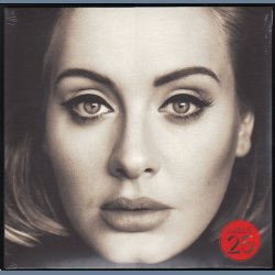 25 - 2015 European XL Recordings Label 11-track LP