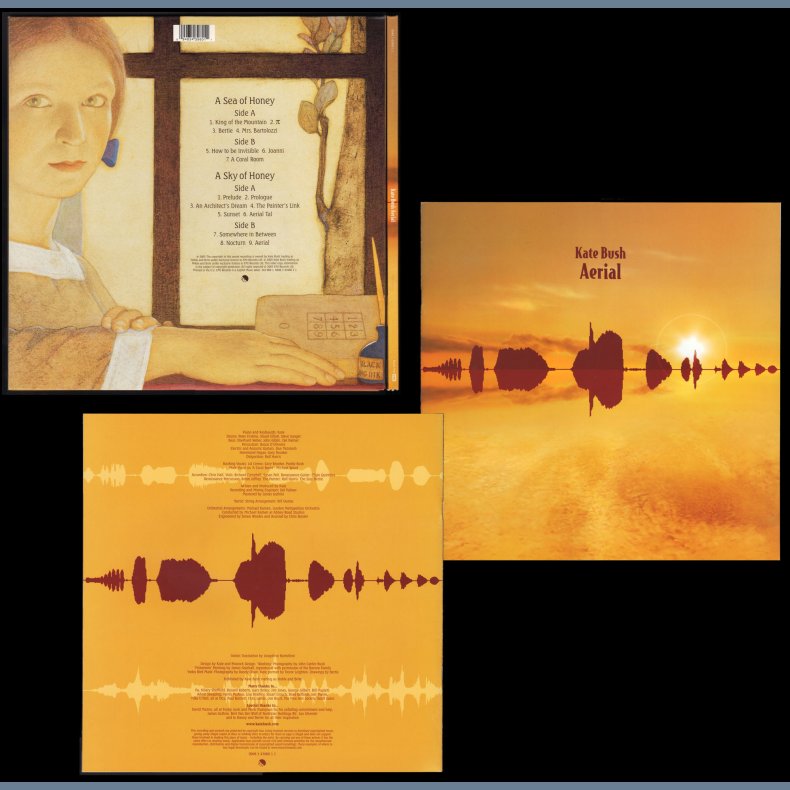 Aerial - 2005 UK EMI label 16-track 2LP set - Incl. Booklet