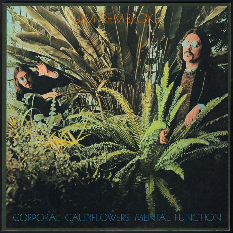 Corporal Cauliflowers Mental Function - Original 1978 Finnish Love label 10-track LP - Incl Lyric Po