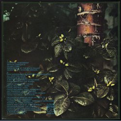 Corporal Cauliflowers Mental Function - Original 1978 Finnish Love label 10-track LP - Incl Lyric Po