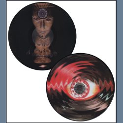 Mezmerize - Original 2005 US Americal label 11-track Picture Disc LP 