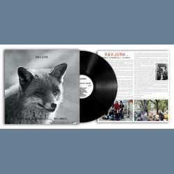 Uppsala Stadshotell Brinner - 2016 German Shadoks label 9-track LP Deluxe Reissue LP