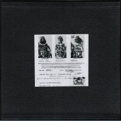 The Flow's Greatest Hits - Scarce 2014 German Shadoks label 8-track Numbered Collector's Edition LP