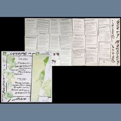 Scary Monsters - Original 1980 Portugese RCA Victor label 10-track LP - Orange Labels, Green back