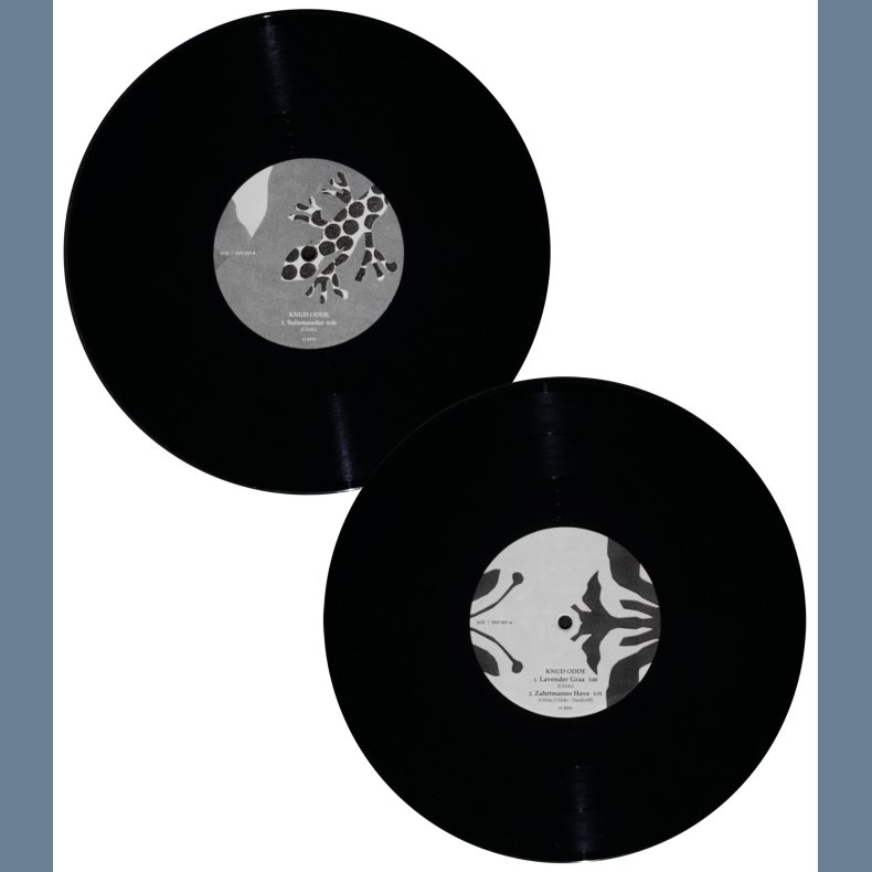 I Zahrtmanns Have - 2017 Danish Fog Horn Tunes label 3-track 10"