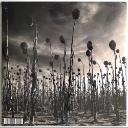 Anastasis - 2016 US/European PIAS label 8-track 180 Gram 2LP - RSD2016, Green Vinyl