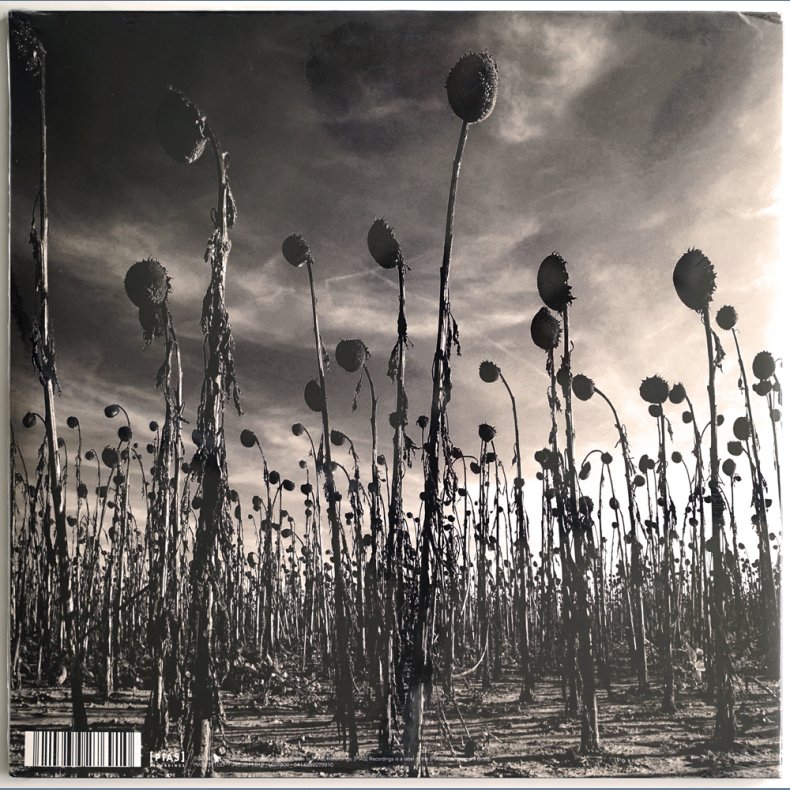 Anastasis - 2016 US/European PIAS label 8-track 180 Gram 2LP - RSD2016, Green Vinyl