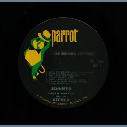 ... I Can Remember Everything - 1968 US Pressed Parrot label 11-track Stereo LP