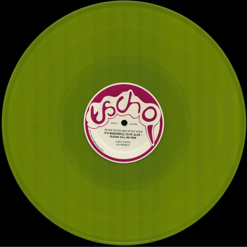 It's A Wonderful Time To Be Alive - Please Kill Me Now - 2017 Danish Escho label Yellow Vinyl 1st 