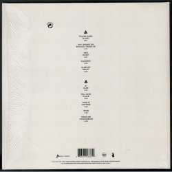 Everything Is Amplified - 2011 Danish RCA/Sony Music Limited Edition Clear Vinyl 10-track LP