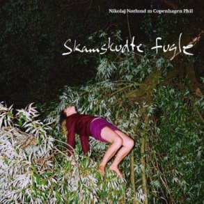 Skamskudte Fugle - 2017 Danish Auditorium label 8-track LP