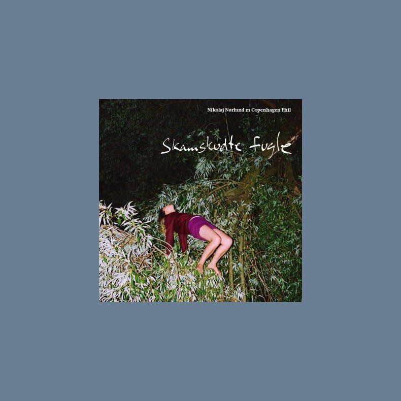 Skamskudte Fugle - 2017 Danish Auditorium label 8-track LP