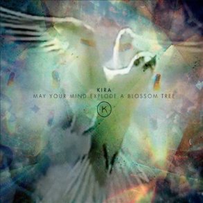 May Your Mind Explode A Blossom Tree - 2016 Danish Stunt Label 10-track LP