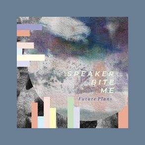 Future Plans - 2018 Danish Pony Rec Label 5-track LP