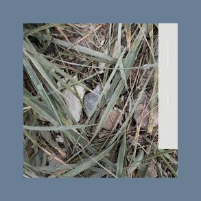 Farvel Falkenberg - 2017 Danish Posh Isolation Label 10-track LP