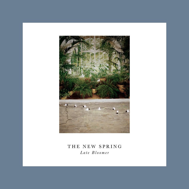 Late Bloomer - 2014 Danish Tambourhinoceros Label 10-track LP