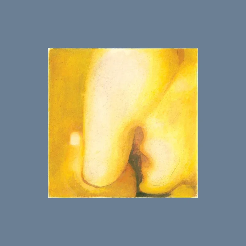 Pisces Iscariot - 2012 US Virgin Records Label 14 track 2LP Set Reissue