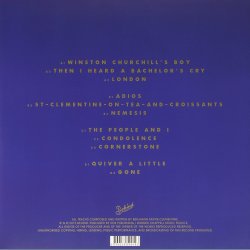 At Least For Now Now - 2015 French Behind label 12-track 2LP Set