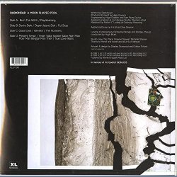 A Moon Shaped Pool - 2019 European XL label 180 gram 11-track 2LP Set