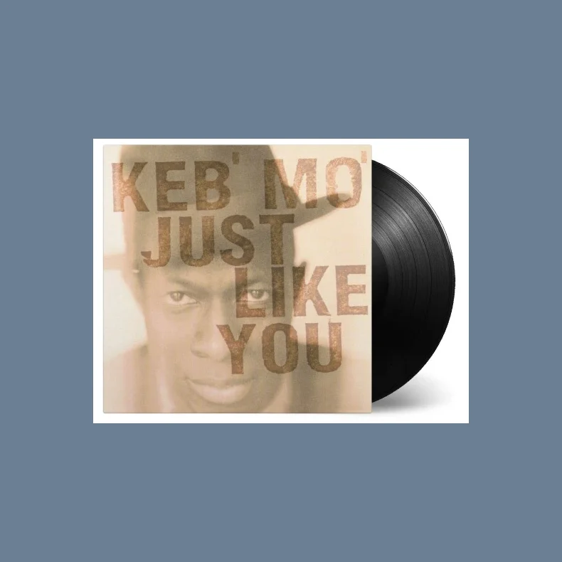 Just Like You - 2014 European Music On Vinyl Label 13-track LP Reissue