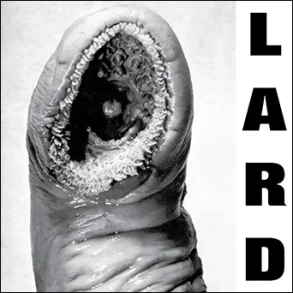 The Power Of Lard - 2025 US Alternative Tentacles label 3-track 12