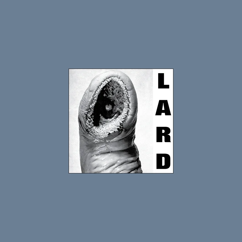 The Power Of Lard - 2025 US Alternative Tentacles label 3-track 12" EP Reissue