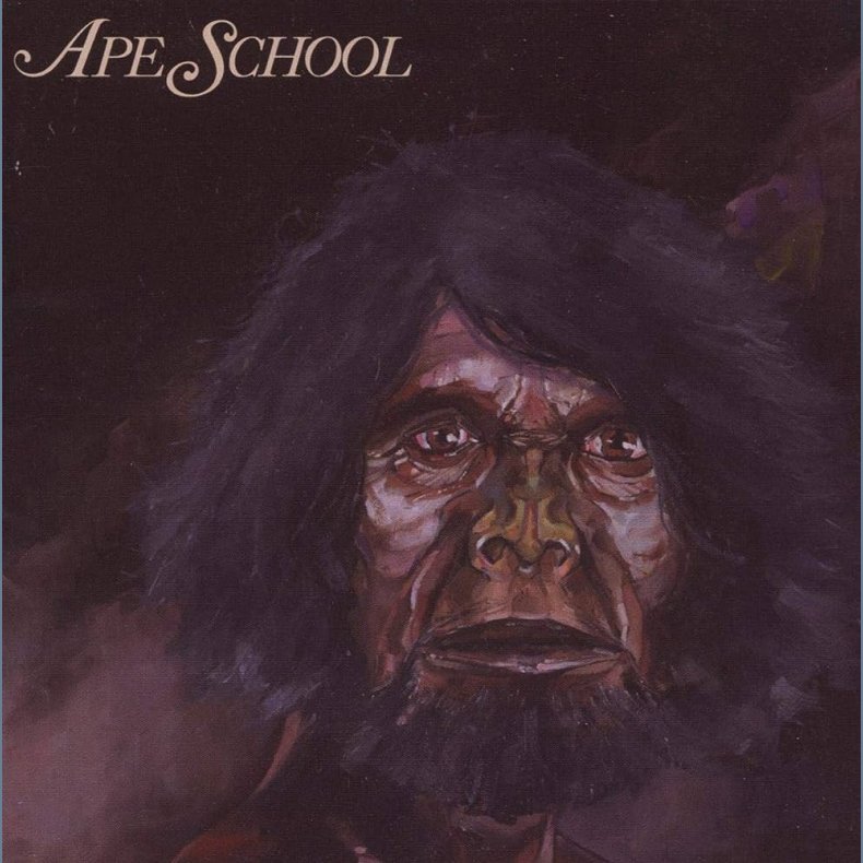 Apeschool - 2009 UK Counter Label 14-track LP