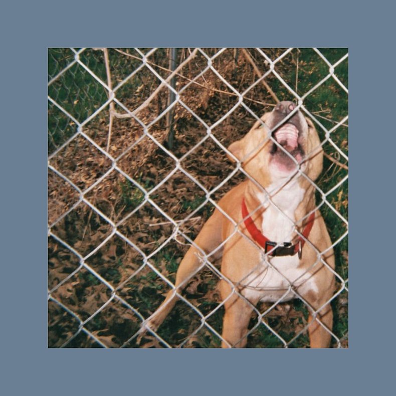 Pop Culture - 2019 US Pure Noise label Coloured vinyl 5-track 12" EP Reissue