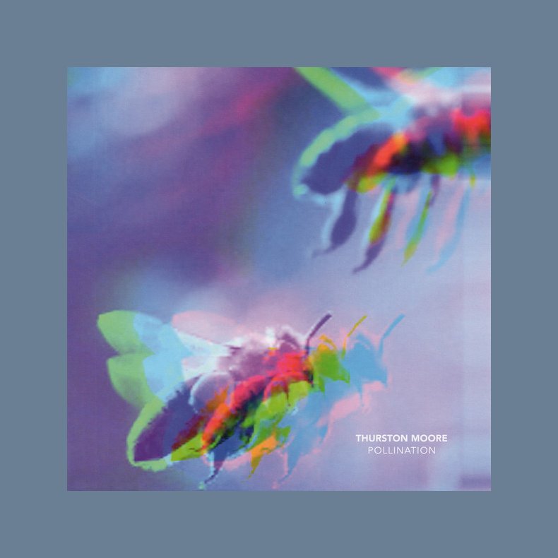 Pollination - 2019 UK The Daydream Library Series Label  