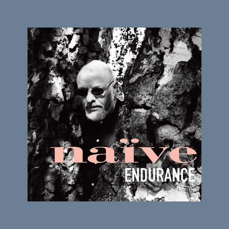 Endurance - 2019 Danish Everyday Music Label Swirl Vinyl 15-Track LP