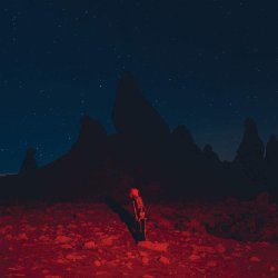 Punisher - 2020 US Dead Oceans Label 11-track LP