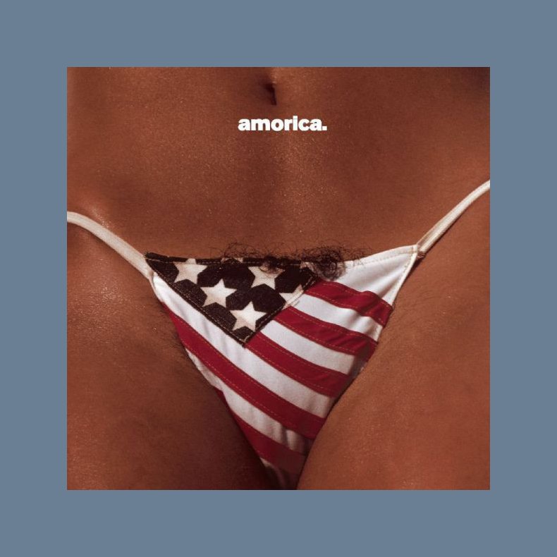 Amorica - 2015 European American Recordings Label 11-track 2LP Set Reissue