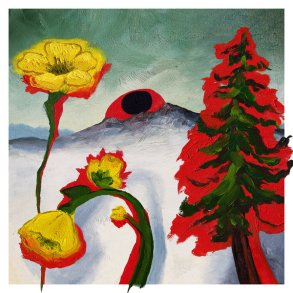 Strange To Explain - 2020 US Woodsist Label 11-track LP