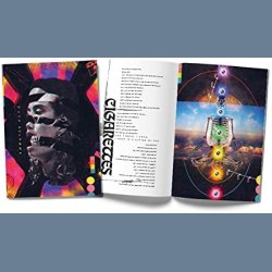 Flow State - 2018 European Lonely Lands Records  Label 13-track 2LP Set