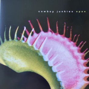 Open - 2020 - Danish Wouldn't Waste Label Reissue 9-track LP