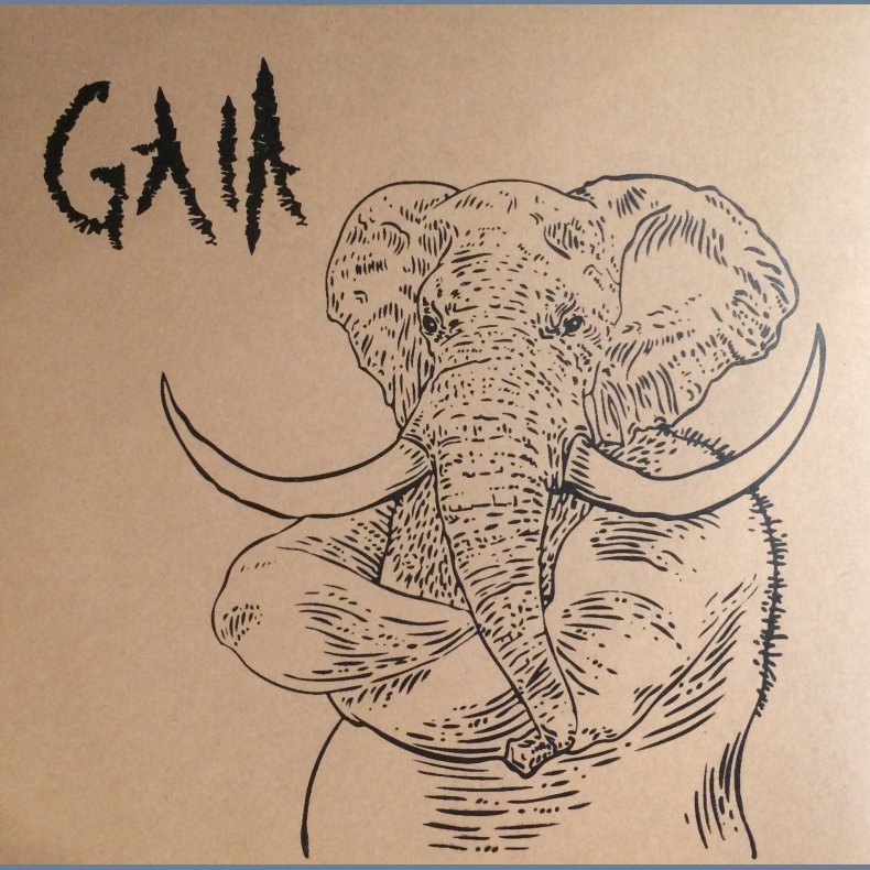 Drukner / Gaia - 2019 Danish Virkelighedsfjern label Split 5-track EP