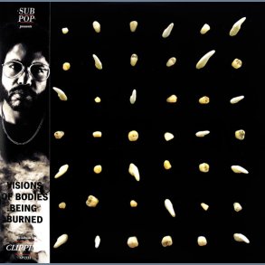 Visions Of Bodies Being Burned - 2020 US Sub Pop Label 13-track 2LP set