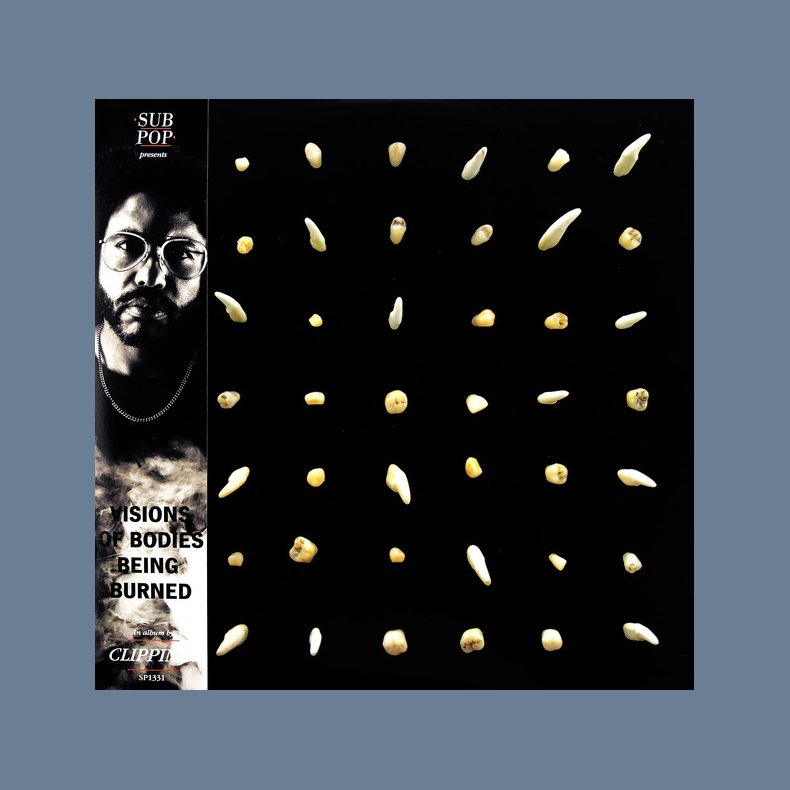 Visions Of Bodies Being Burned - 2020 US Sub Pop Label 13-track 2LP set