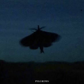 Pilgrims - 2020 Danish Krfis Label 11-track LP