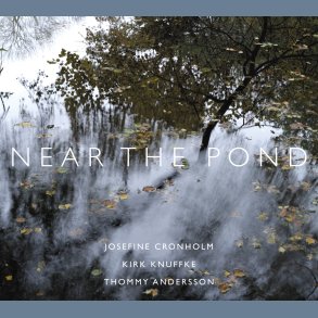 Near The Pond - 2021 Danish Stunt label 10-track LP