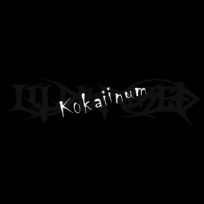 Kokaiinum - 2017 German Supreme Chaos label reissue 9-track LP